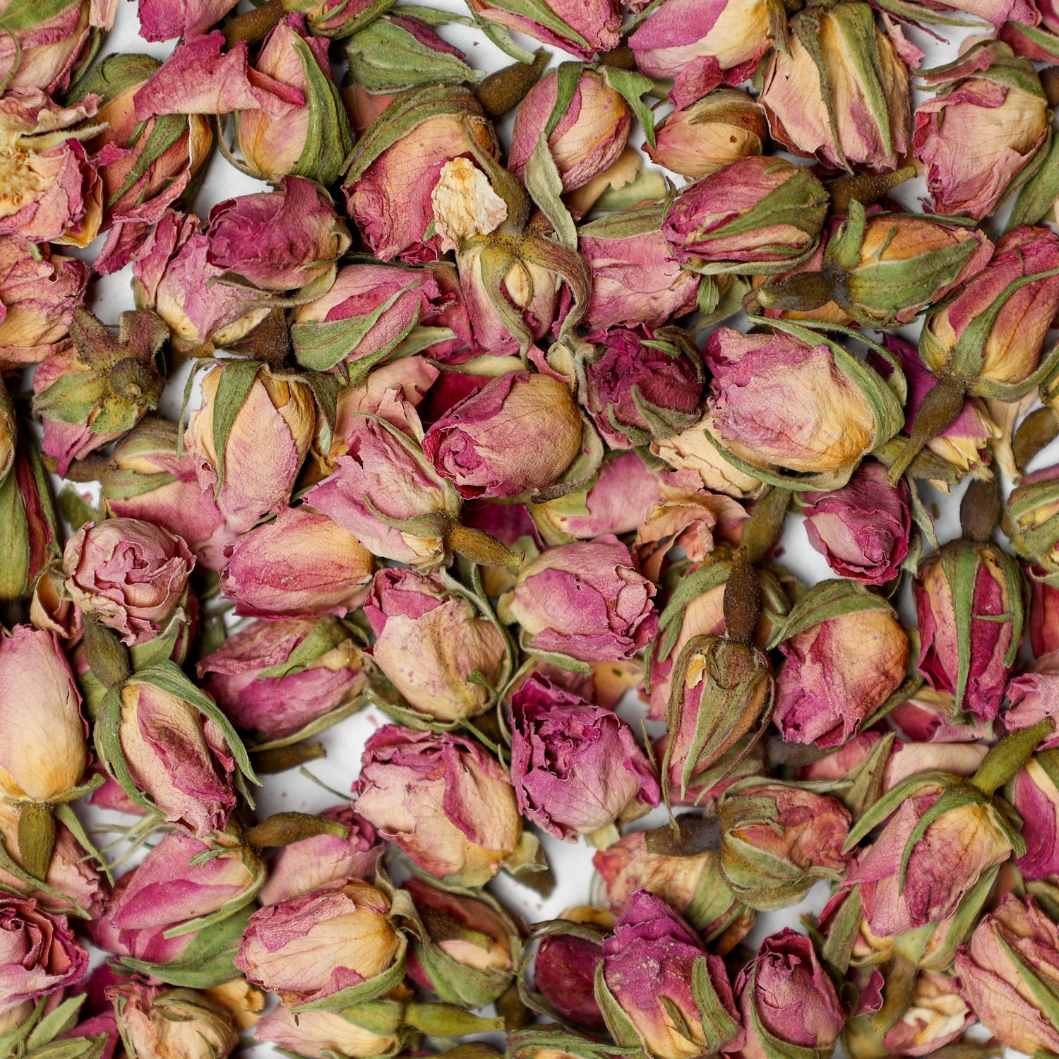 capullos de rosa