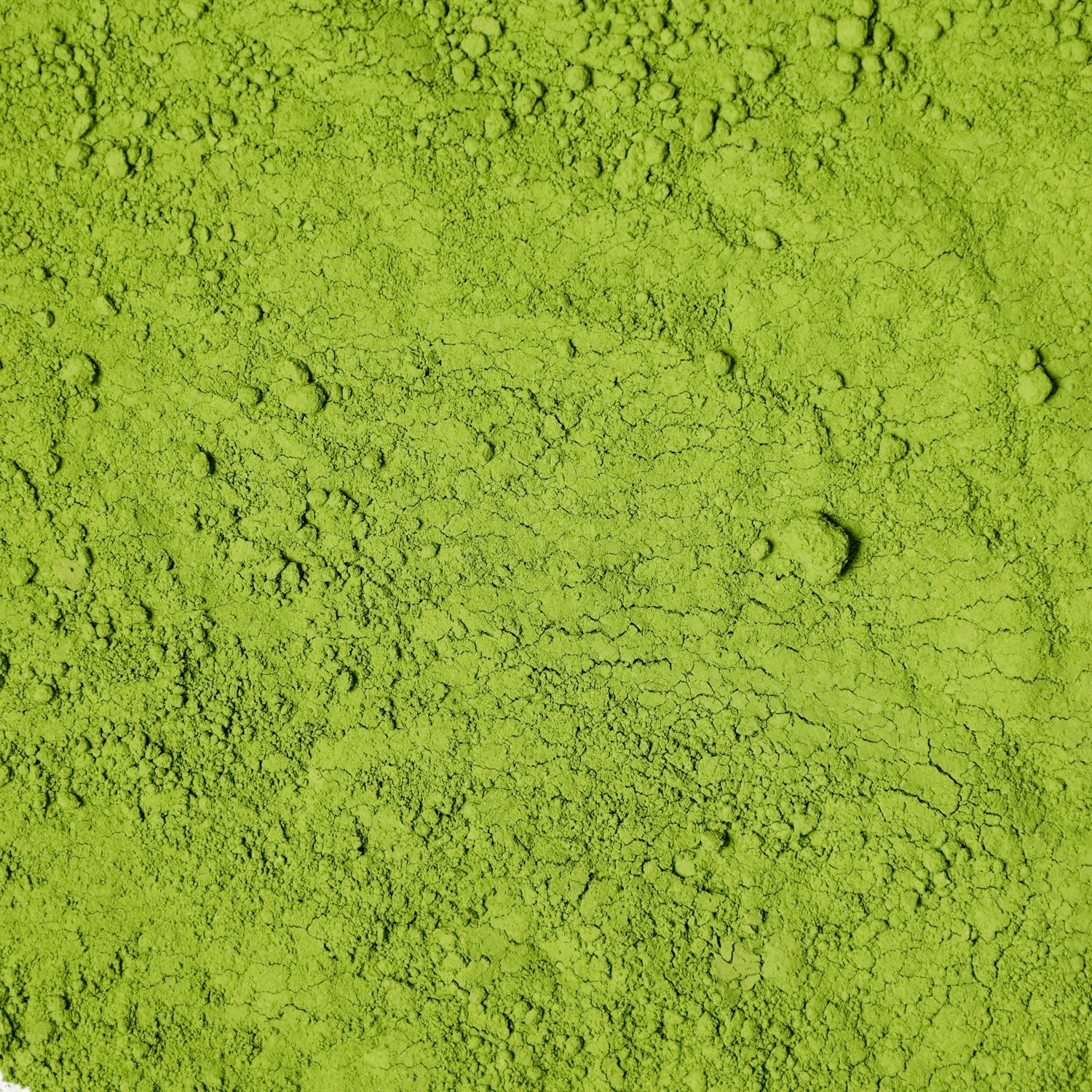 Matcha Kotobuki - Waterloo Tea's Ceremonial Grade Matcha Powder