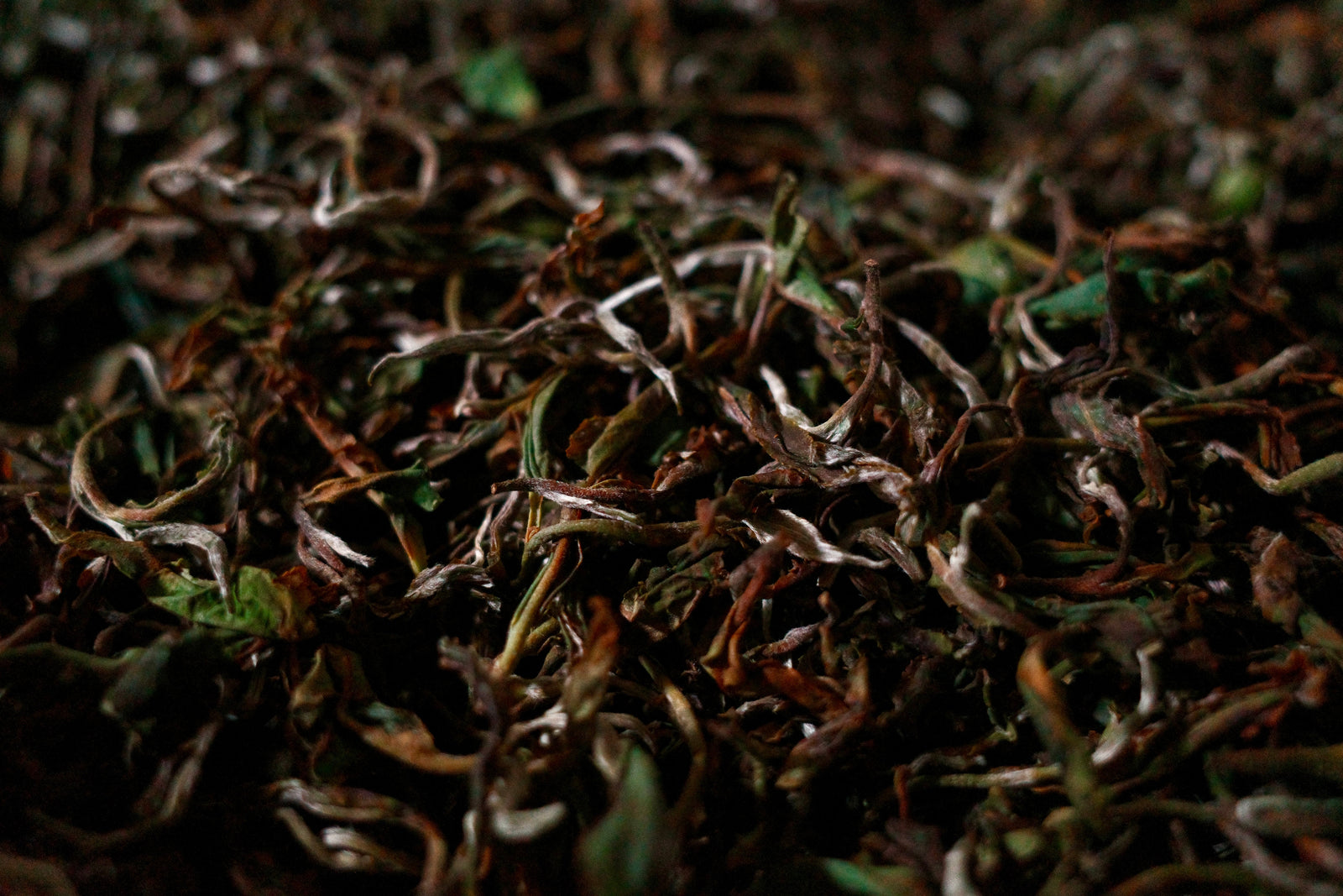 Example of loose leaf tea that contains caffeine from the Camellia sinensis plant