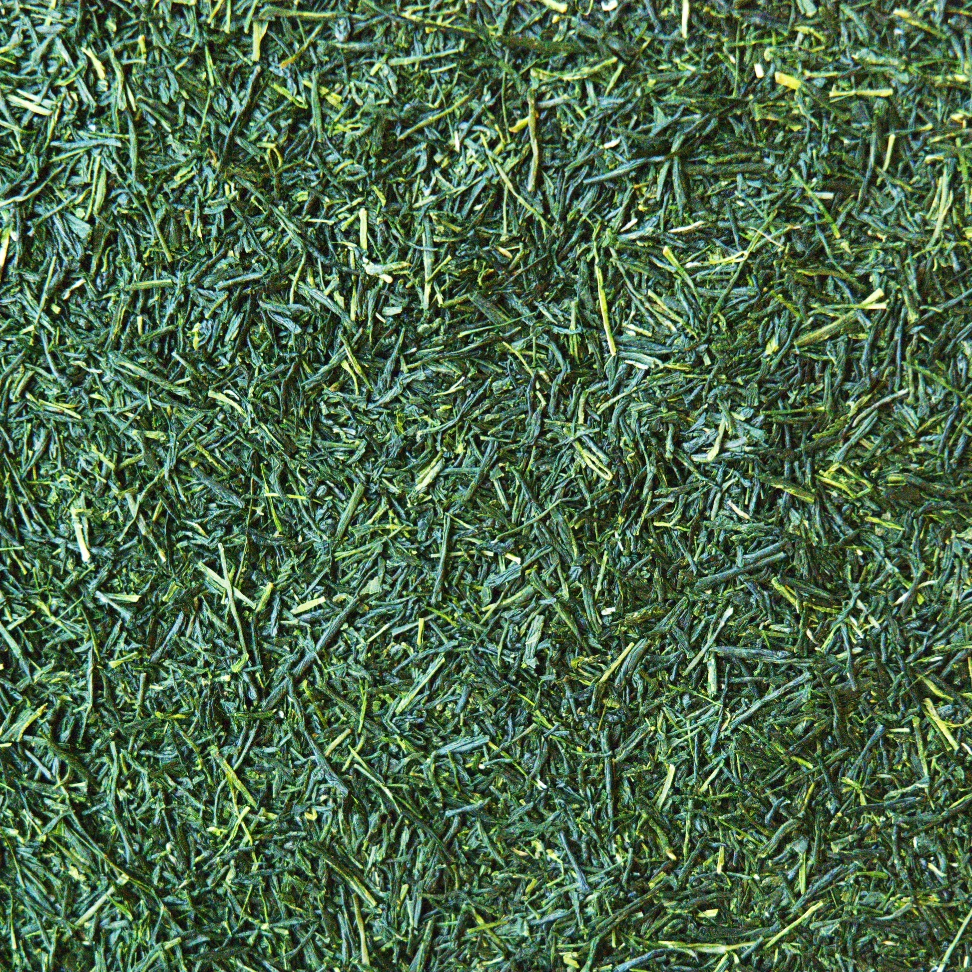 A pile of Gyokuro Japanese green tea leaf. The image shows loose leaf gyokuro and it's dark green colour.