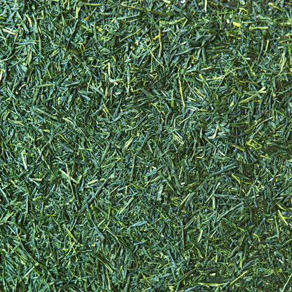 A pile of Gyokuro Japanese green tea leaf. The image shows loose leaf gyokuro and it's dark green colour.