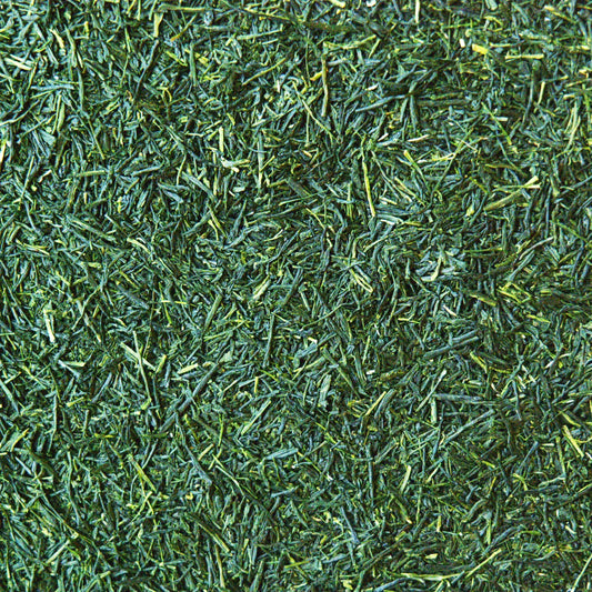 A pile of Gyokuro Japanese green tea leaf. The image shows loose leaf gyokuro and it's dark green colour.