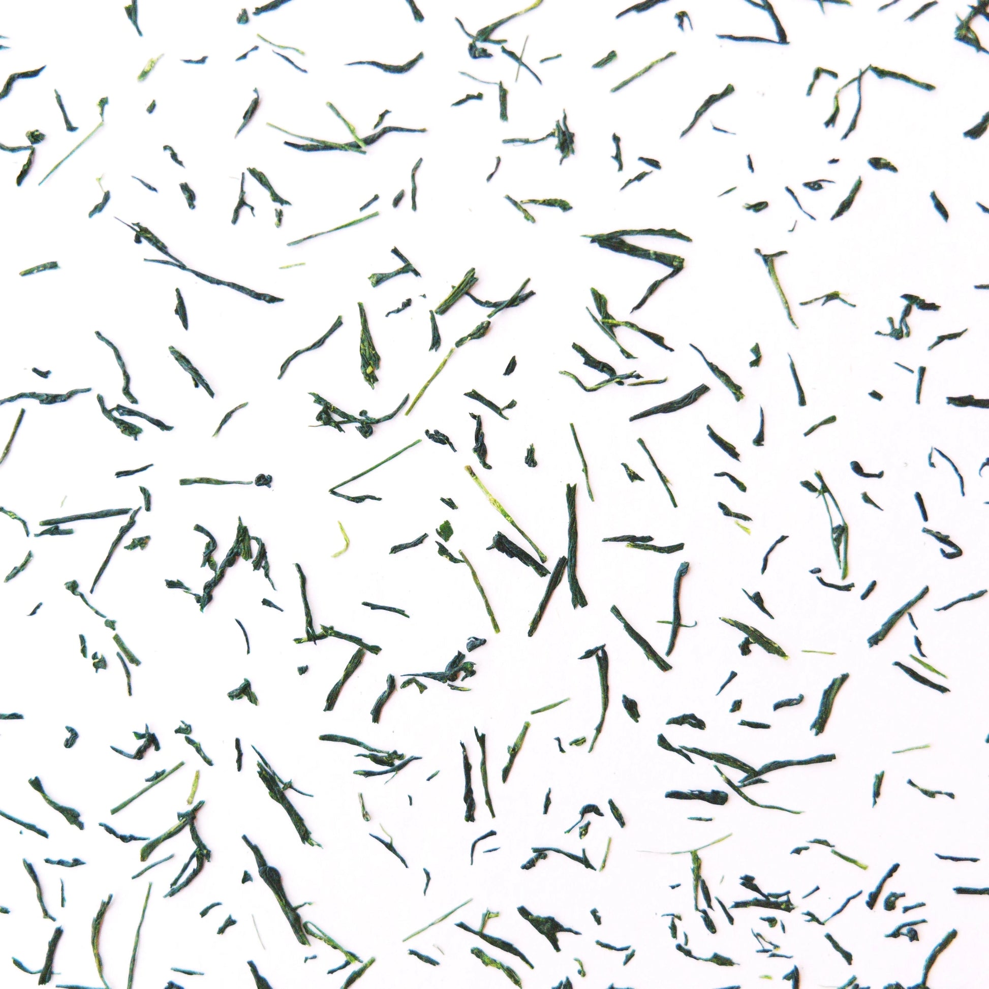 A close up of the individual gyokuro green tea leaves. 