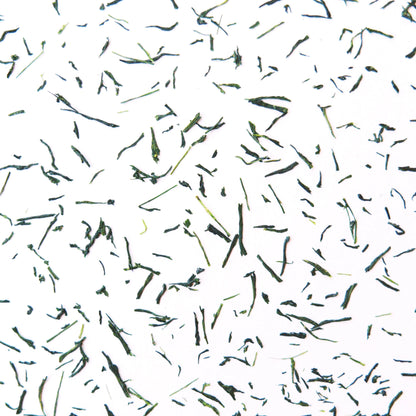 A close up of the individual gyokuro green tea leaves. 