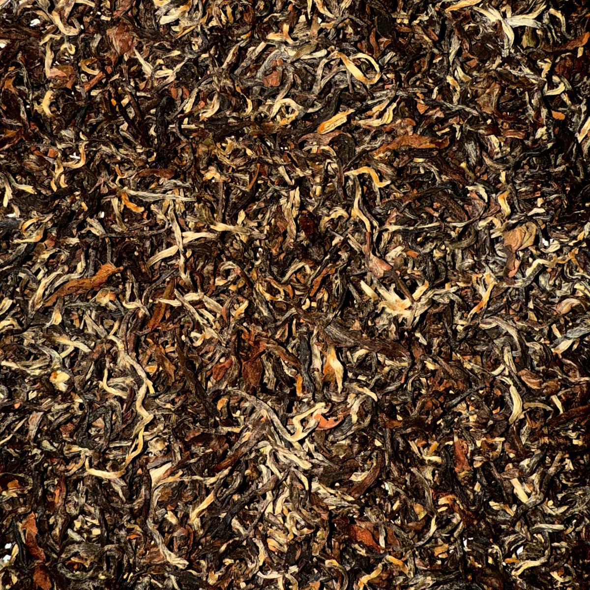 Loose leaf tea. Meghalaya 2024 Harvest premium black tea.