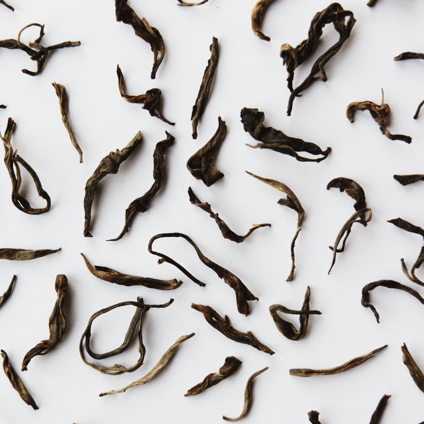 Scattered individual raw mountain puerh tea leaves laid out on a white background.
