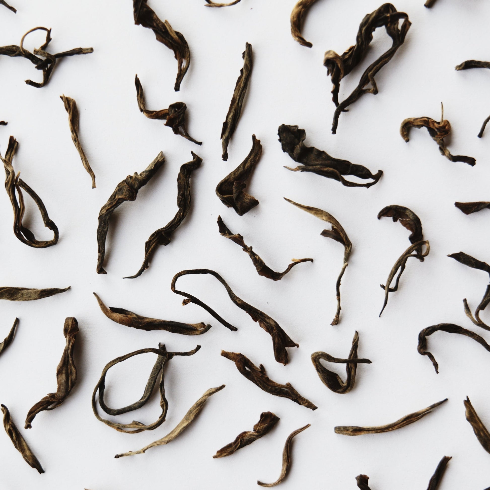 Scattered individual raw mountain puerh tea leaves laid out on a white background.