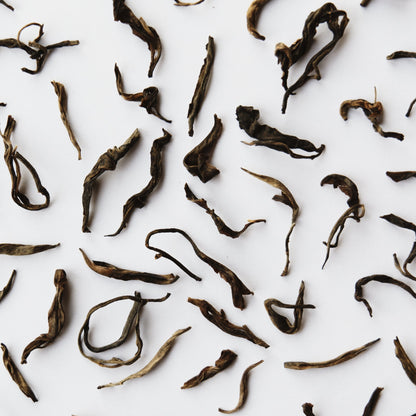 Scattered individual raw mountain puerh tea leaves laid out on a white background.