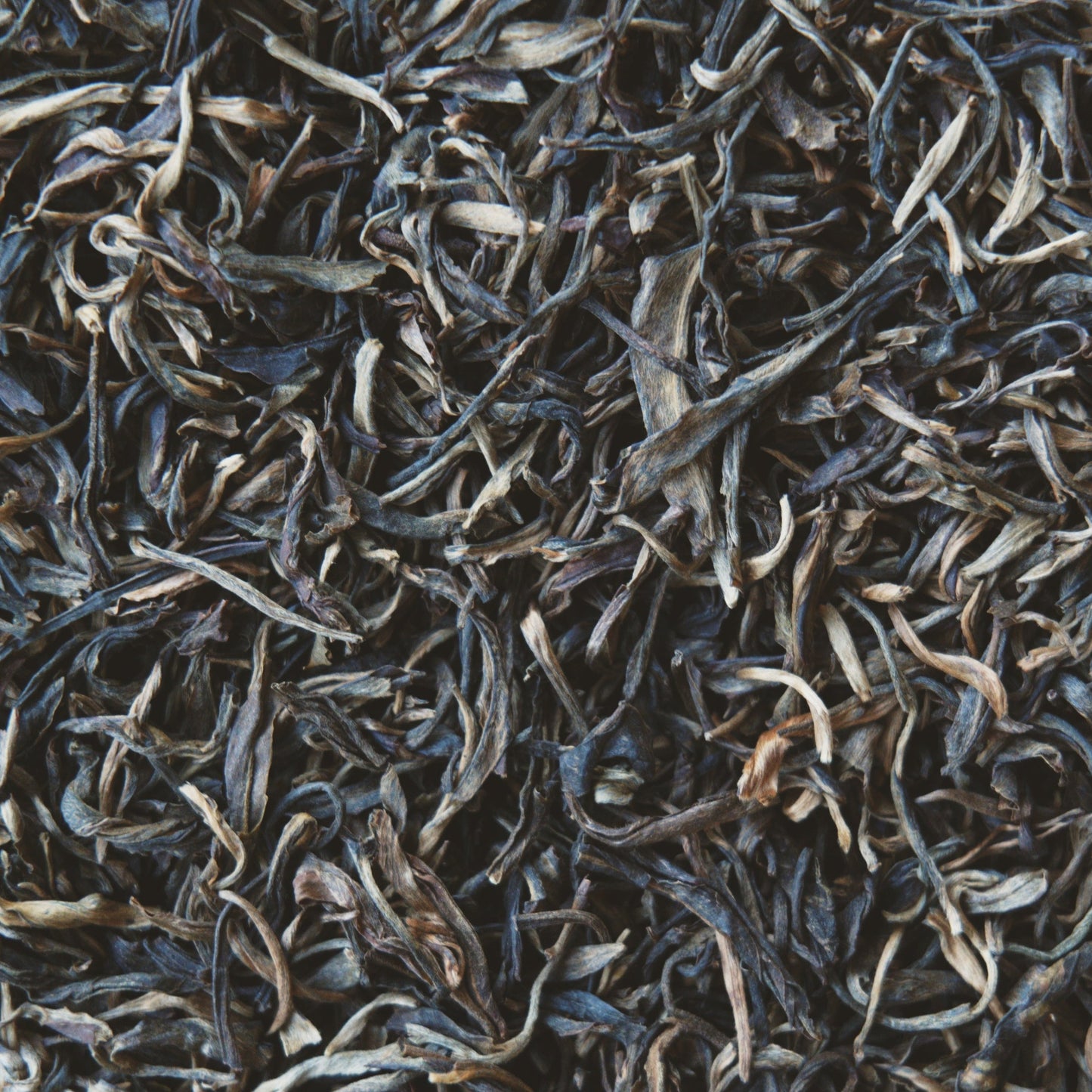 Close up view of Raw Mountain Puerh loose leaf tea leaves