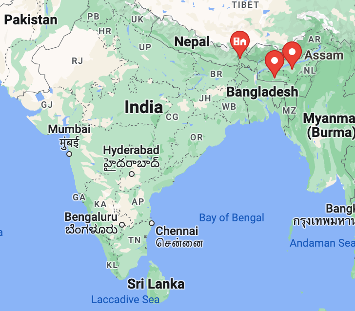 Rare Indian Tea Selection