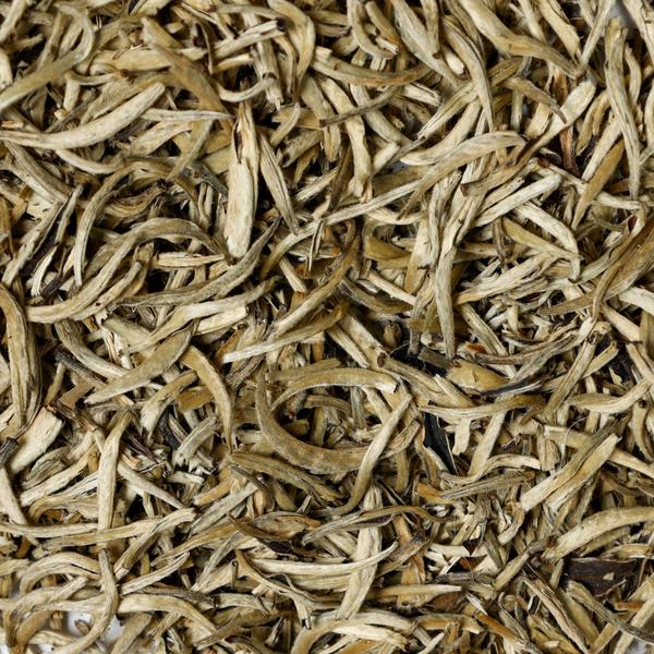 Silver Needles Tea Silver Needle. Premium White Tea Buds. Yunnan, China | Waterloo Tea