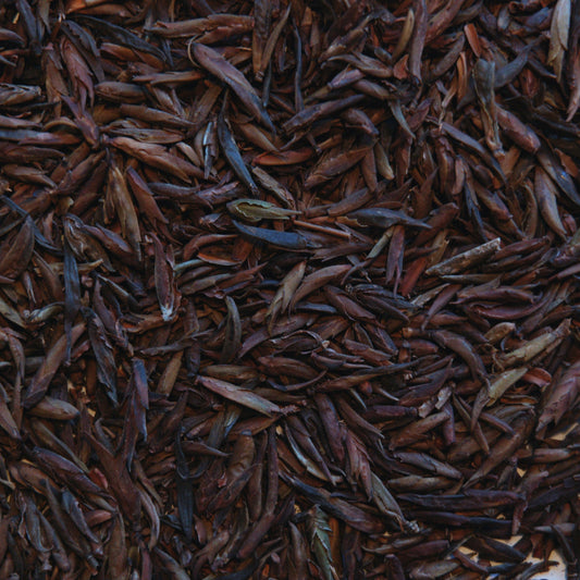 Loose leaf wild purple raw puerh tea buds. 