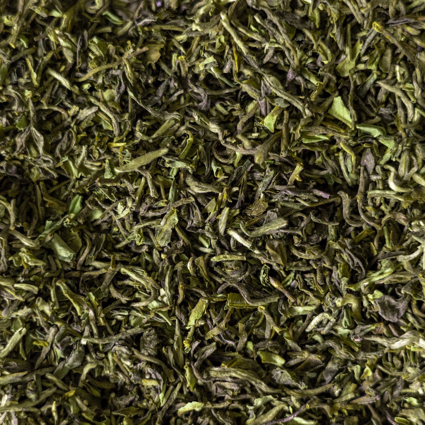 2024 Darjeeling First Flush tea from Glenburn Estate – floral and brisk