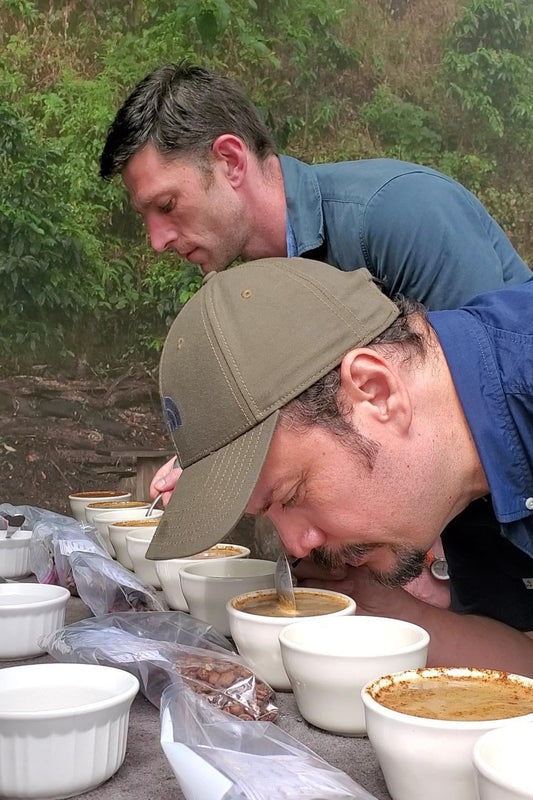 Coffee cupping session with Las Cotorras Washed Decaf beans, Chiapas, Mexico