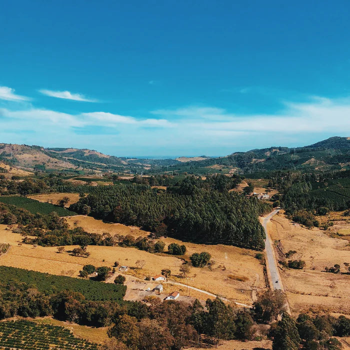 Minas Gerais coffee farm in Brazil where Happy Capybara decaf single origin coffee beans are sustainably grown