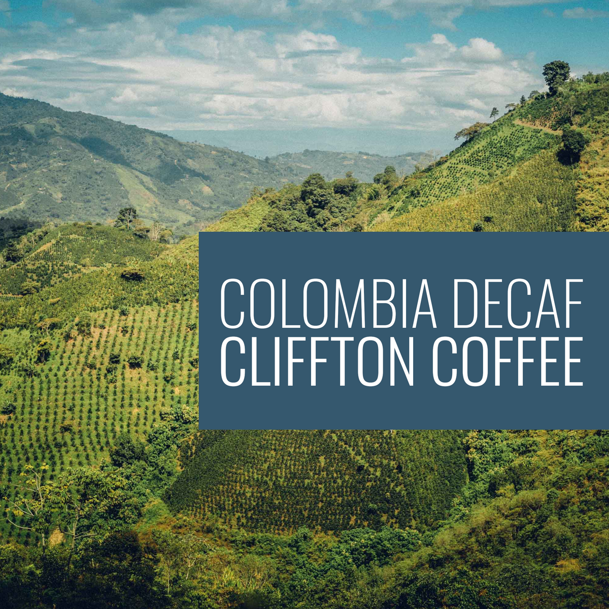 Café décaféiné - en grains ou moulu - Clifton Coffee