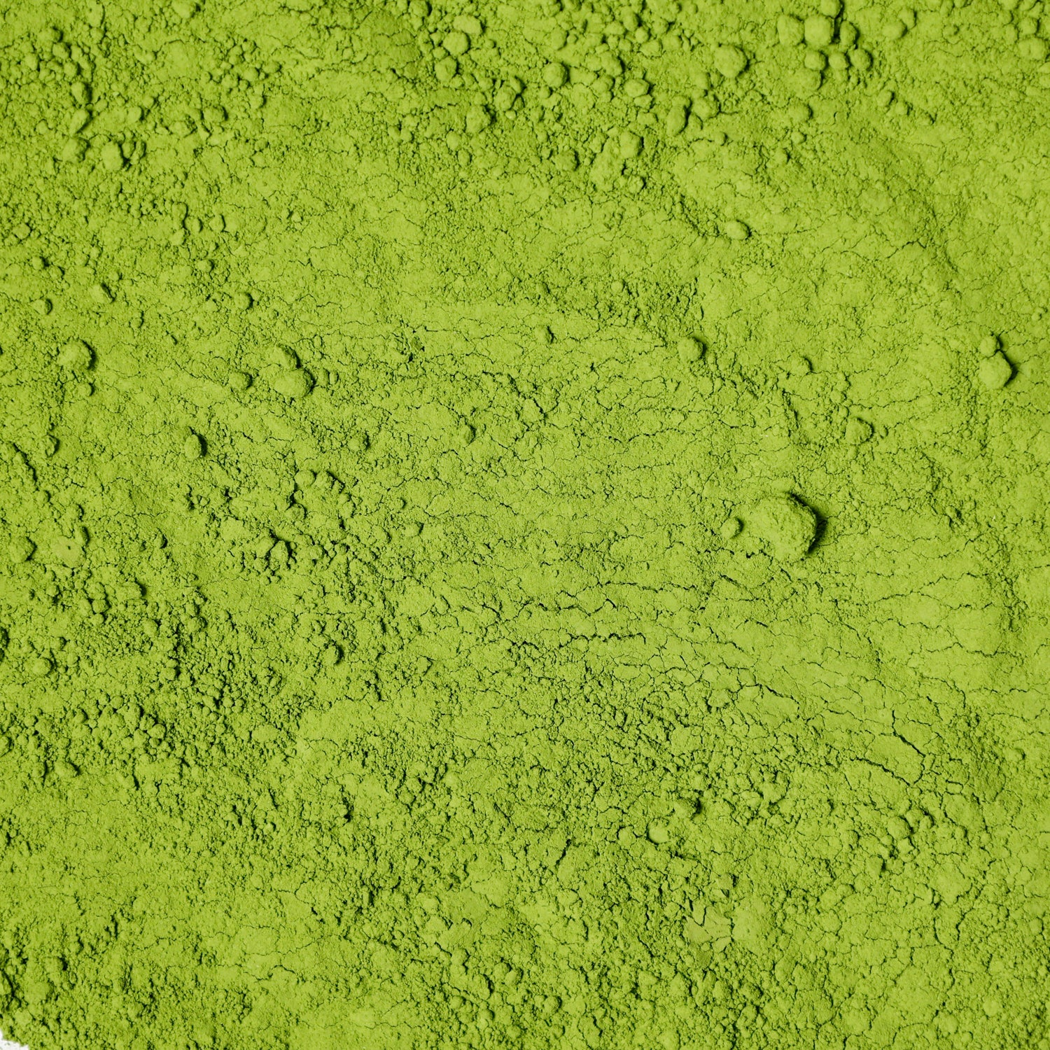 Ceremonial Matcha | Single Origin Kagoshima, Japan | Waterloo Tea