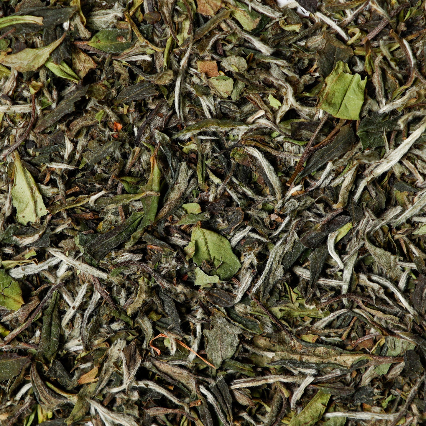 Peony High Grade (Bai Mu Dan) White