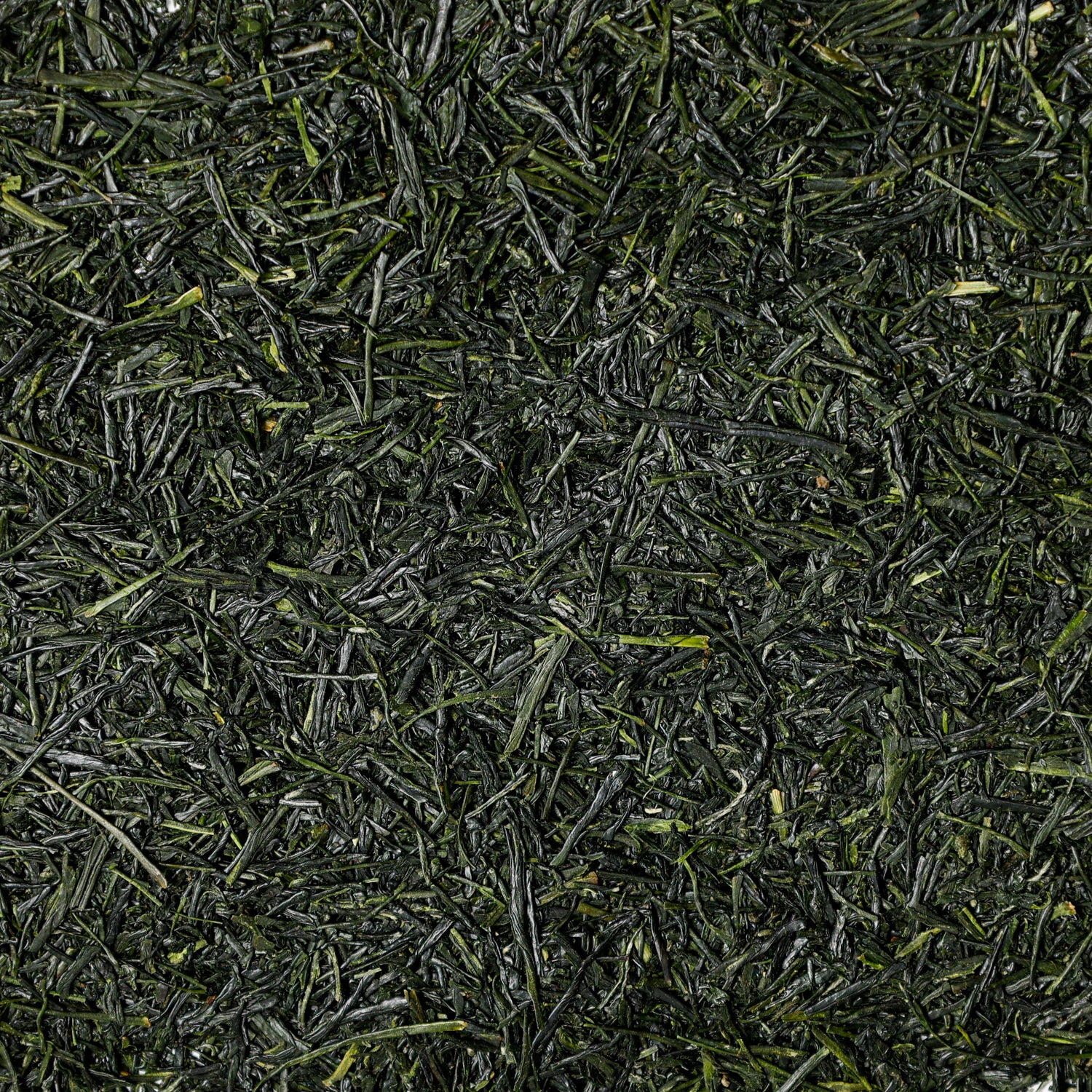 Japanese Green Tea - Loose leaf Sencha tea leaves.