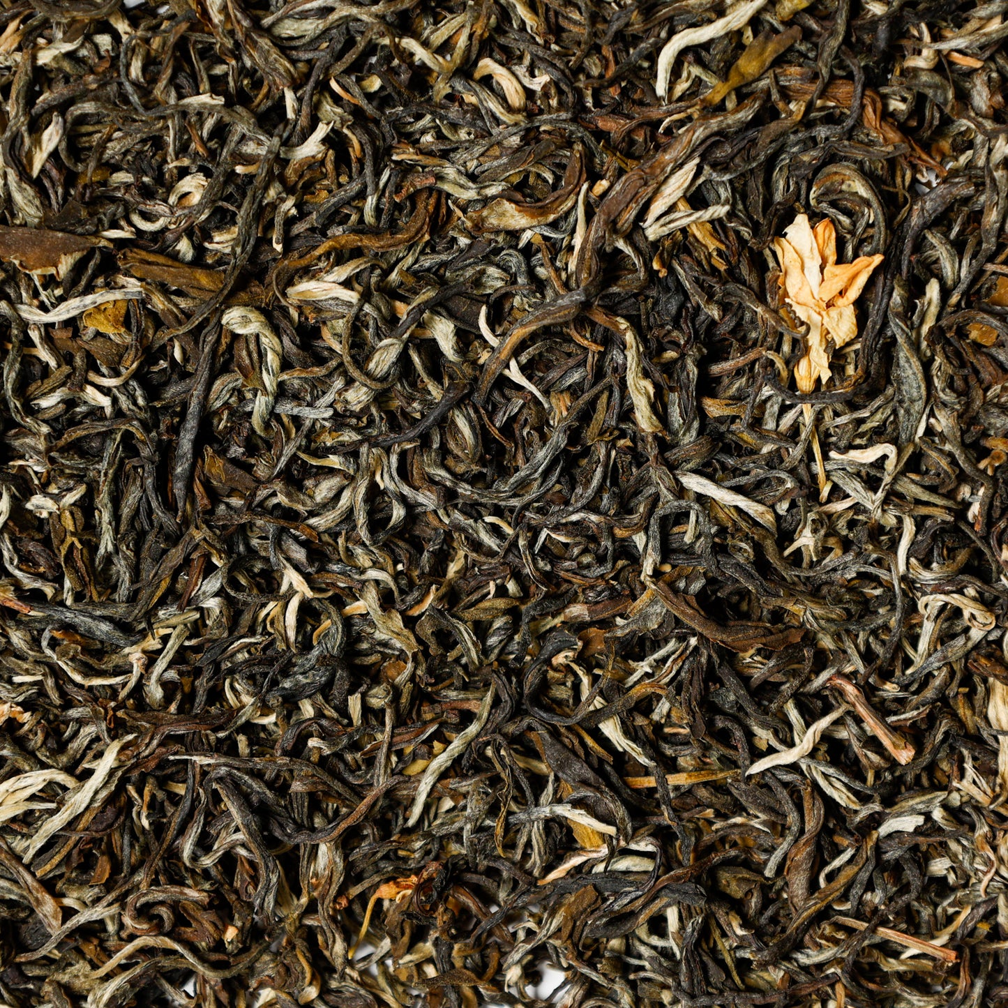 Jasmine Green Loose Leaf Tea infused with Jasmine Blossoms. Green tea from Fujian province, China. 