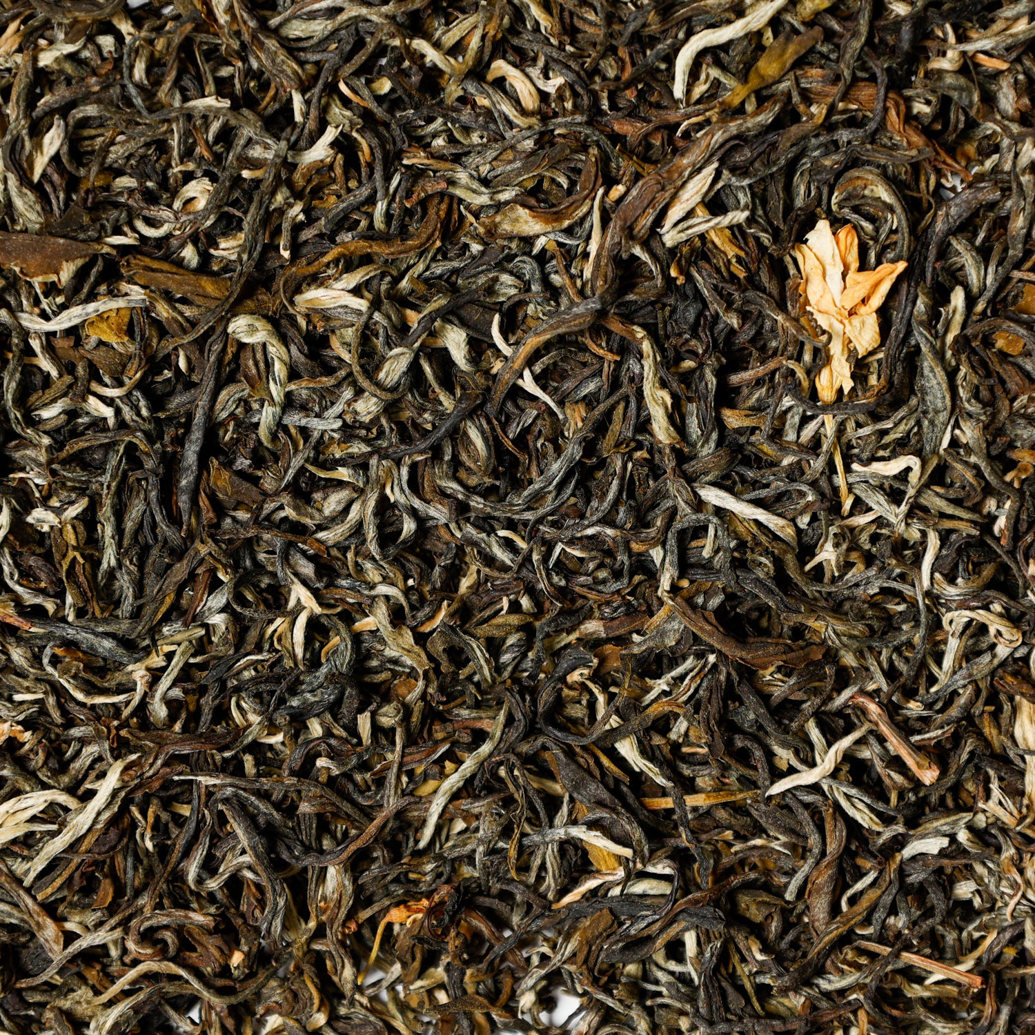 Jasmine Green Loose Leaf Tea infused with Jasmine Blossoms. Green tea from Fujian province, China. 