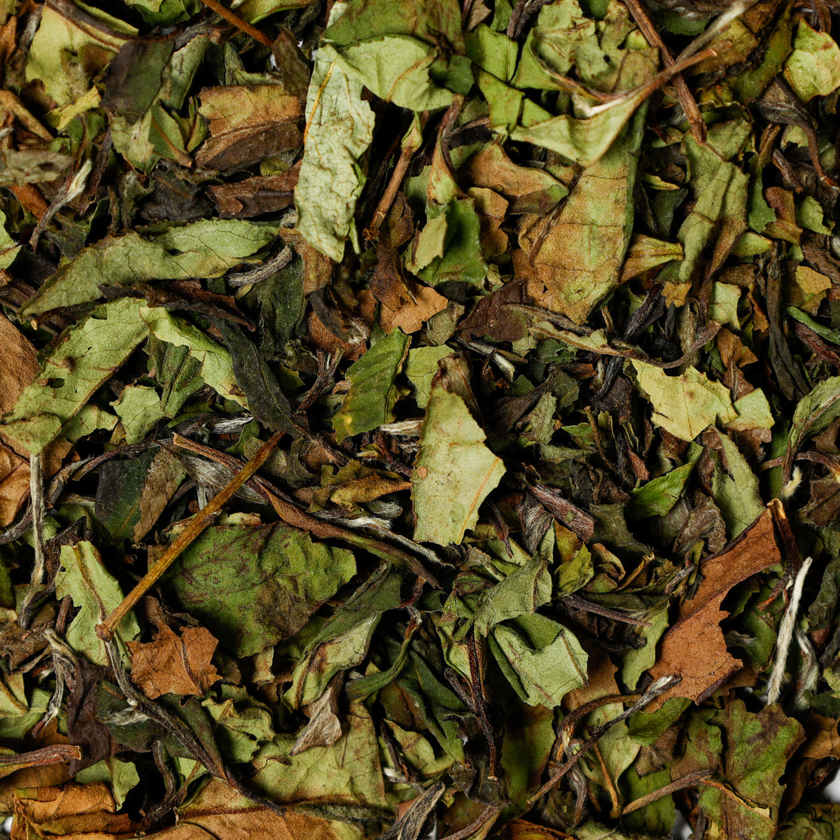 Peach Blossom loose leaf tea. Peony white tea blended with peach and tangerine oil 