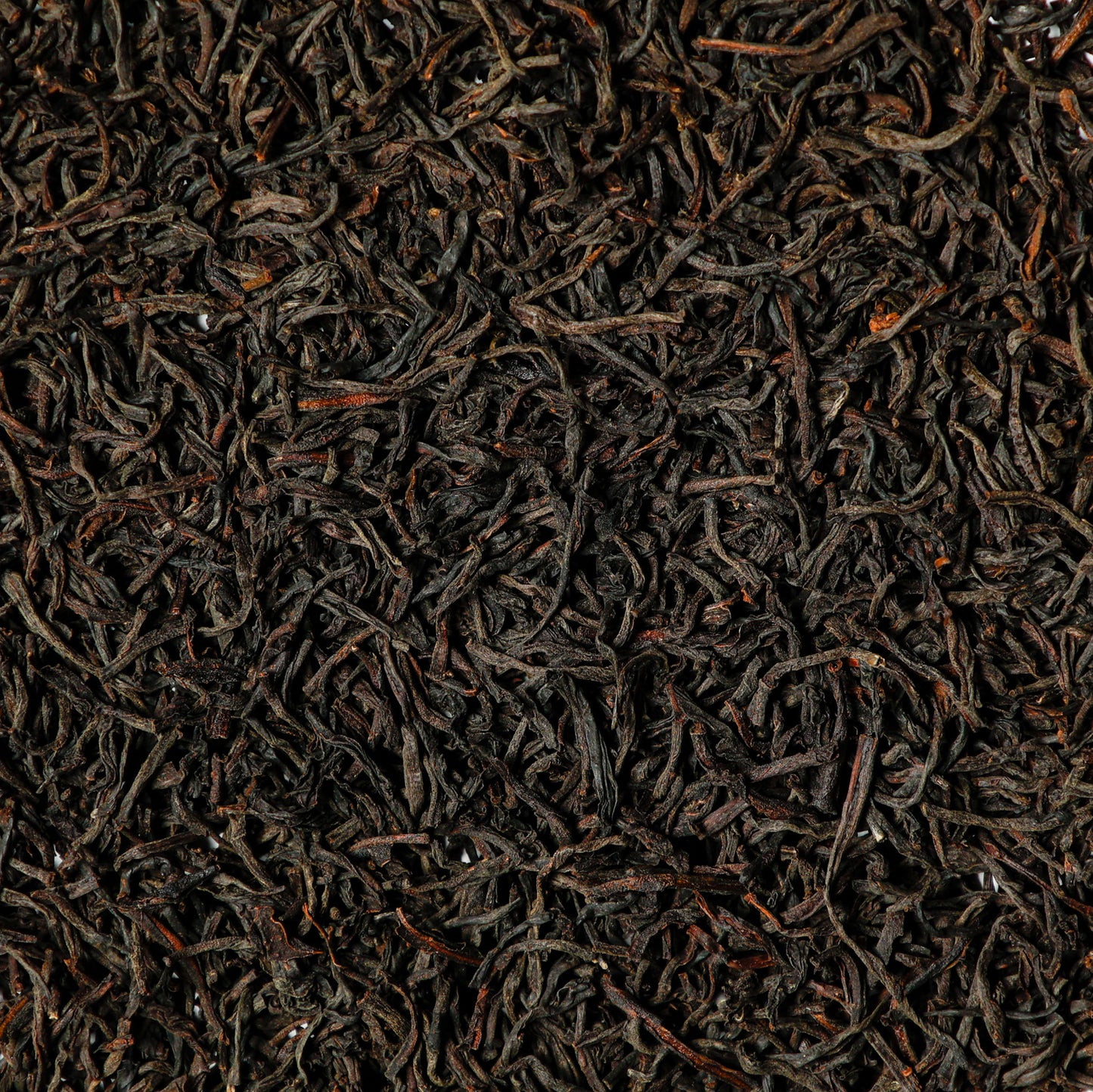 2025 Ceylon Kenilworth loose leaf black tea – Grade OP1