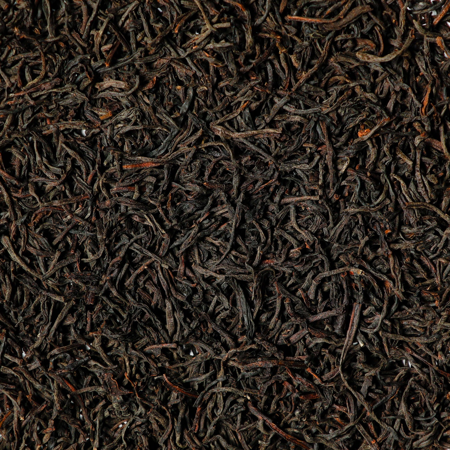 2025 Ceylon Kenilworth loose leaf black tea – Grade OP1