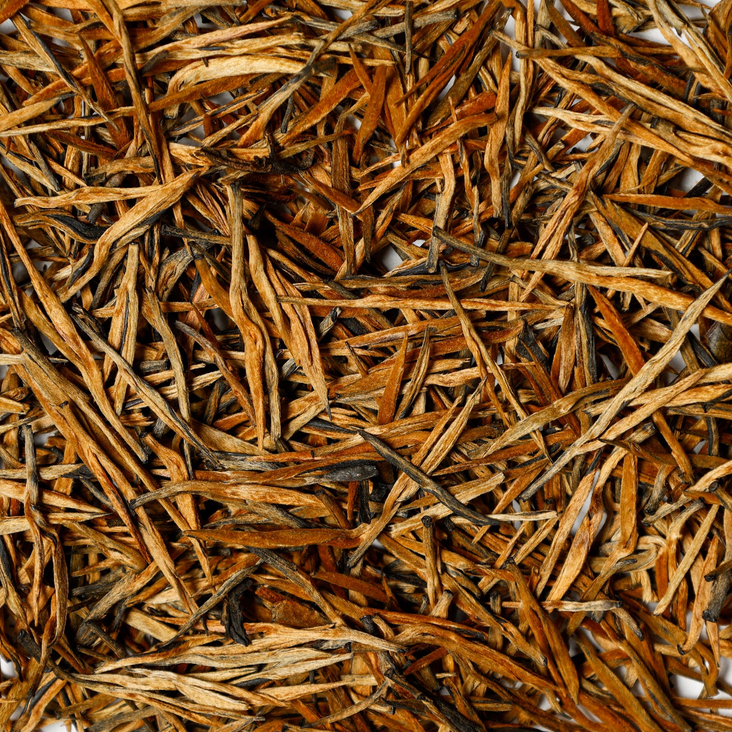 Loose leaf Golden Needle black tea made from golden buds in Yunnan, China